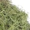 Basil Green Spanish Moss by Ashland®